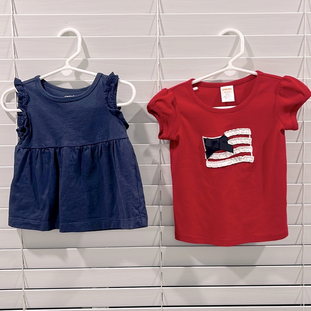 Lot of 2 18-24 month shirts Gymboree and Carters